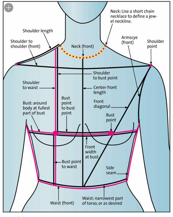 Front Upper Body Measurements